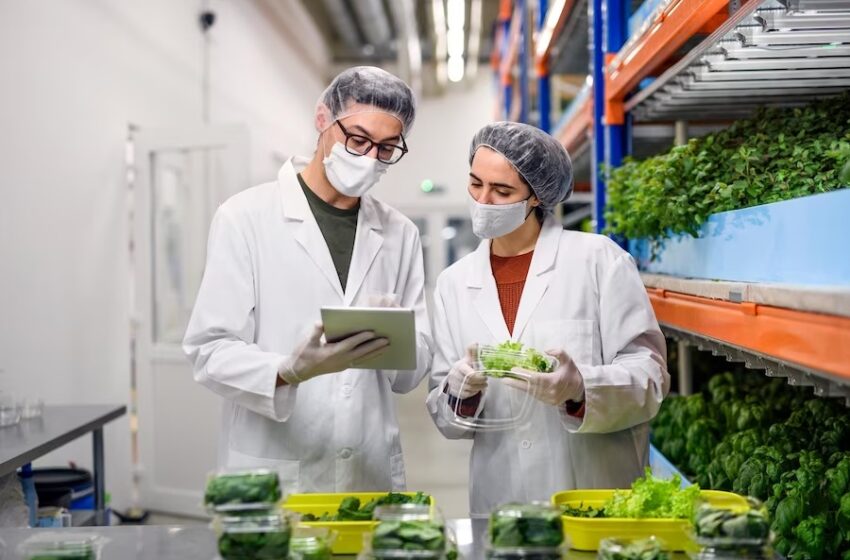Las tecnologías de alimentos contribuyen a reducir las emisiones de CO2