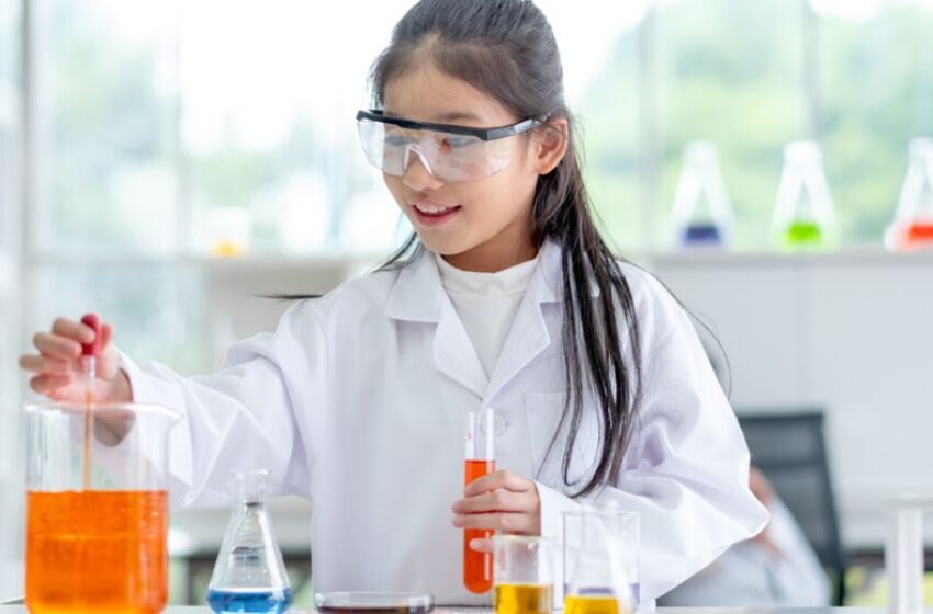 Día de la Niña y la Mujer en la Ciencia: ¿por qué es importante incentivar el interés científico desde temprana edad?