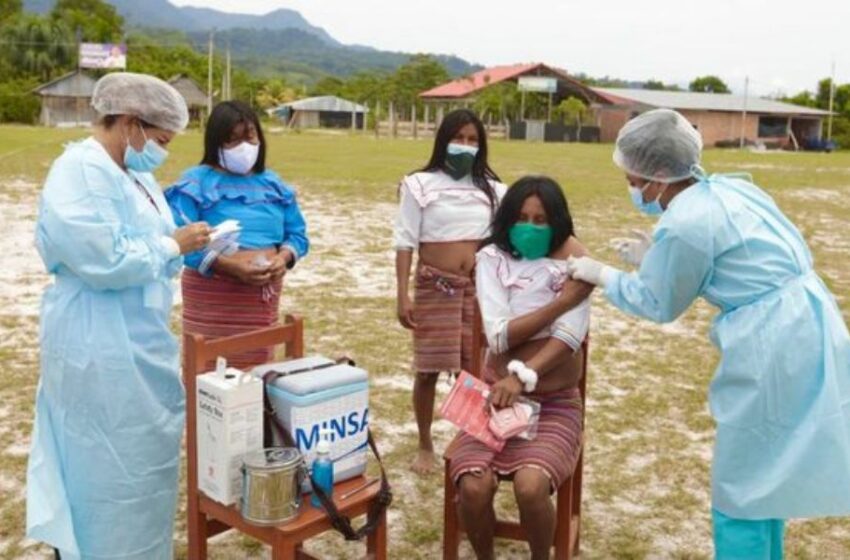 Amazonas: el 95.8 % de la población objetivo ya está vacunada contra la fiebre amarilla