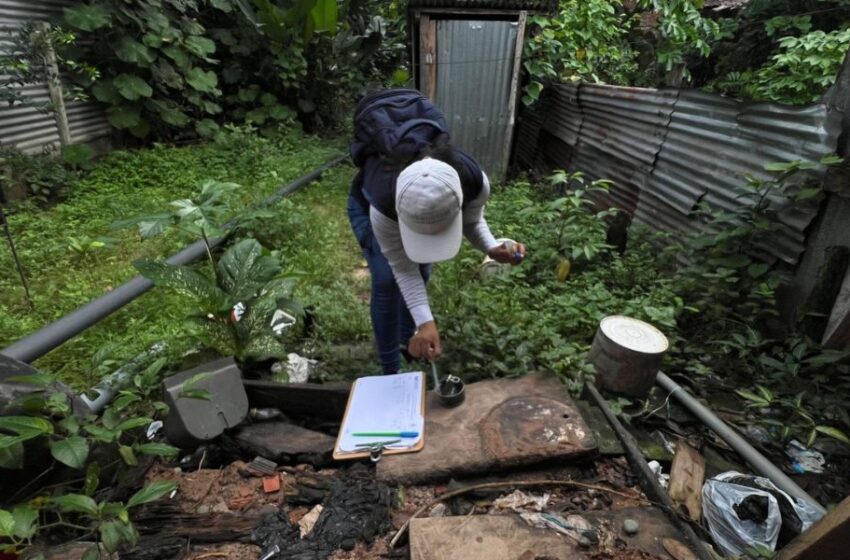 Concluye con éxito control larvario para prevenir el dengue en 38 sectores de Iquitos