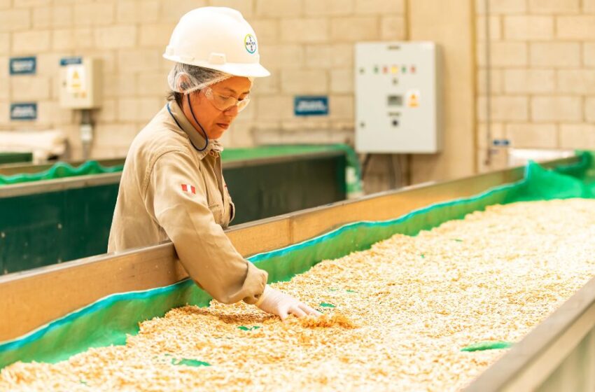 El aporte a la seguridad alimentaria global de Bayer en el Perú