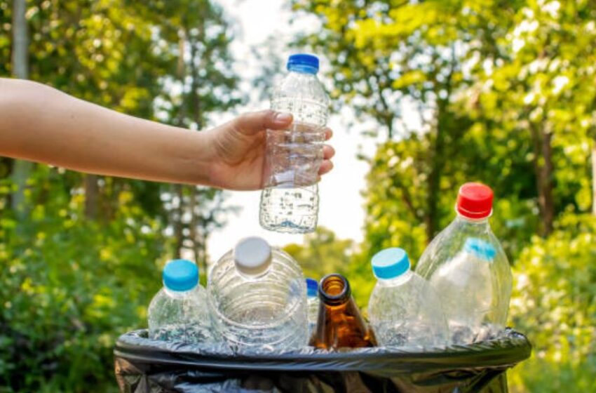 Día Mundial del Reciclaje: sigue estos consejos para reciclar en casa