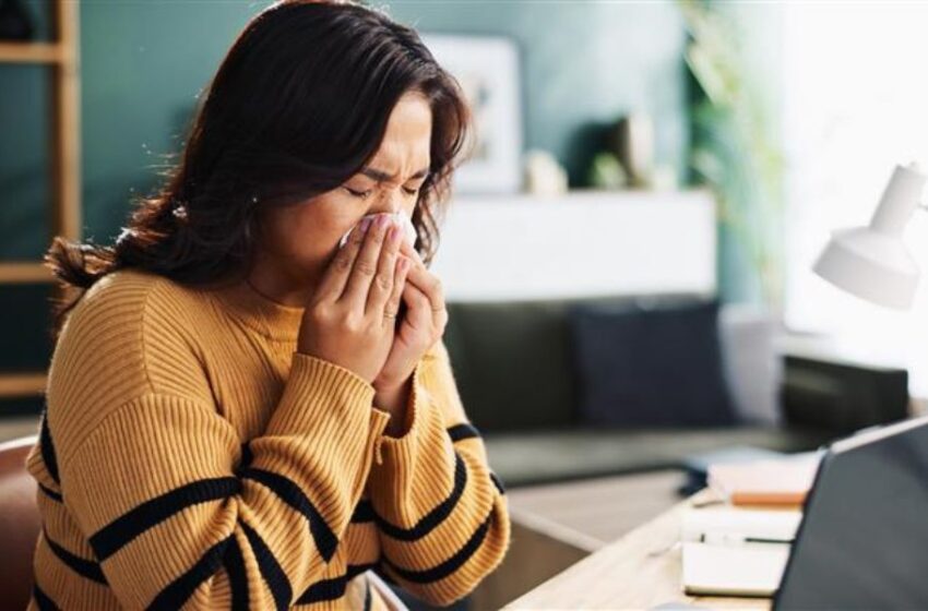 ¿Alergia en casa? Claves para mantener un hogar saludable en estos días húmedos