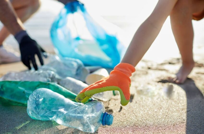 Conoce cómo las industrias podrían transformar los residuos en material reciclado