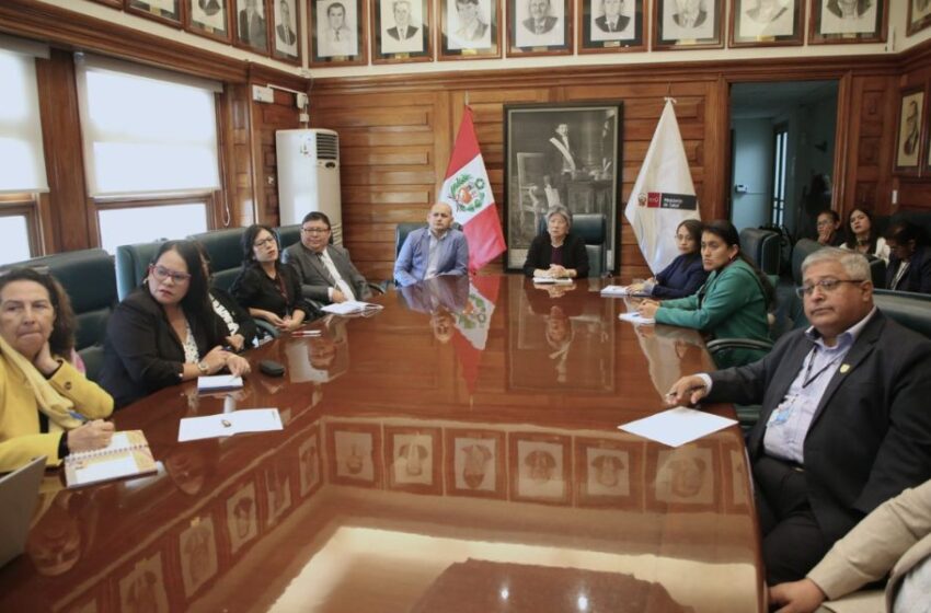 Minsa reforzará estrategias para la prevención y reducción de la anemia materno infantil en el Perú