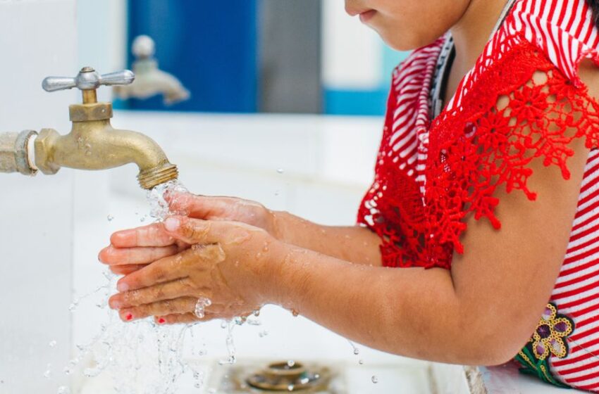 Hasta 1.500 bacterias pueden vivir en un centímetro cuadrado de las manos sin una higiene adecuada