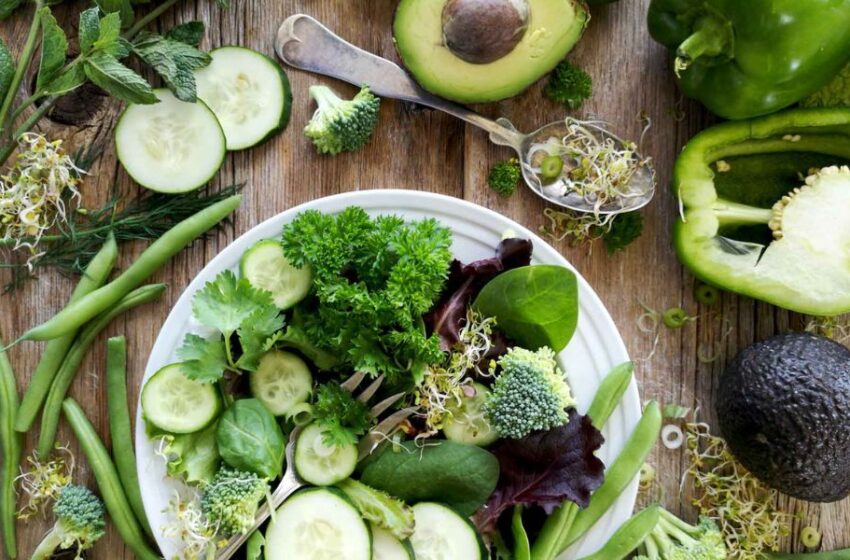 Impacto de las dietas bajas en carbohidratos en la salud cardiovascular