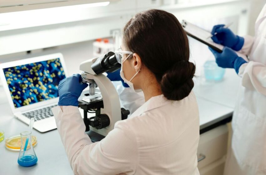 El microbioma humano: clave en la medicina de precisión para prevenir y tratar enfermedades