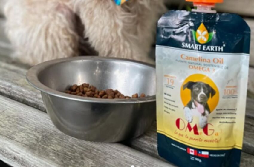 Smart Earth lanza innovador Aceite de Camelina para mascotas