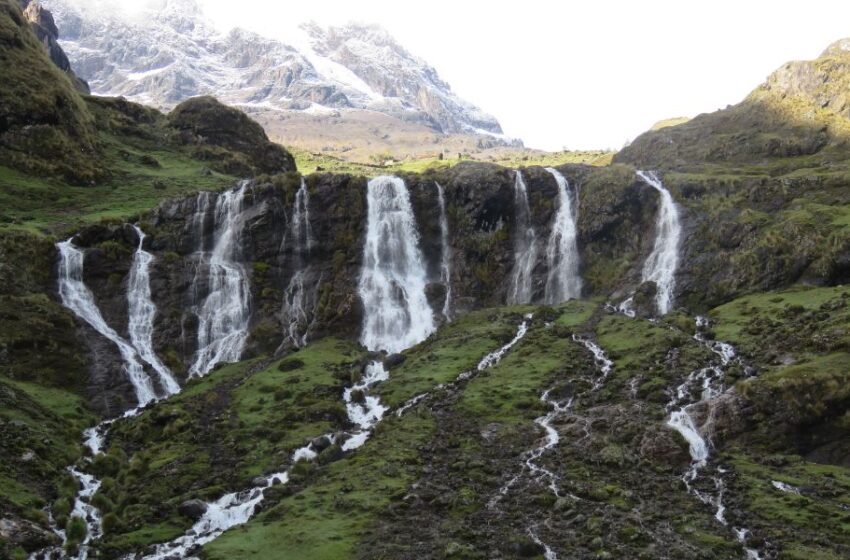 Día de la Biodiversidad: Iniciativa peruana destaca en la restauración ecológica andina