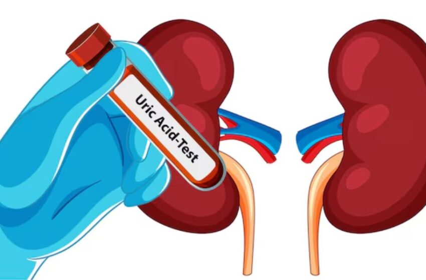 Limpia tus riñones: hábitos naturales que ayudan a depurar los riñones y prevenir enfermedades