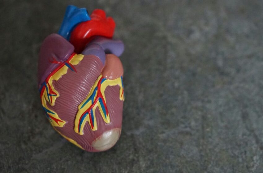 ¿Tu corazón está sano? Esta nueva tecnología puede decirlo con precisión asombrosa