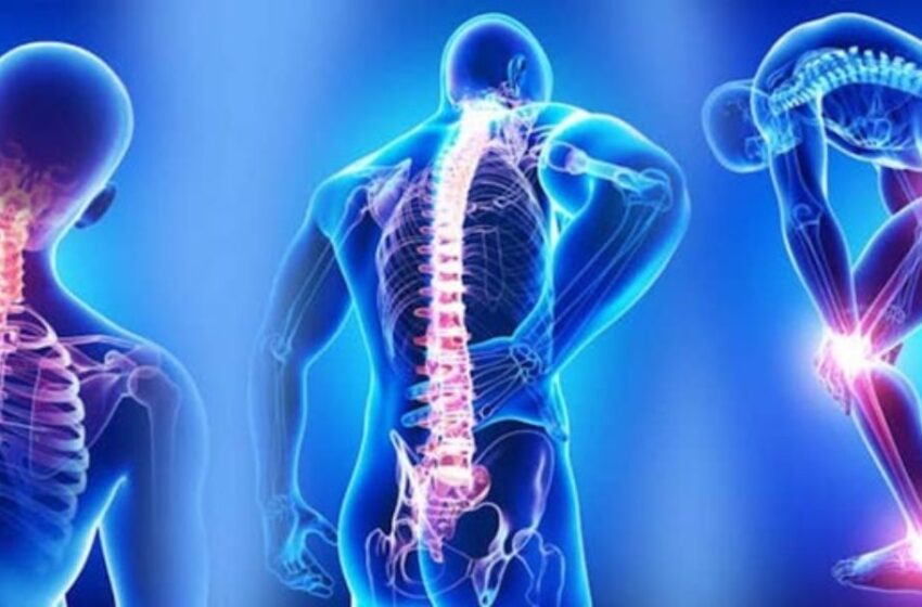 Fibromialgia: la ciencia del cerebro abre nuevas puertas al alivio y la calidad de vida