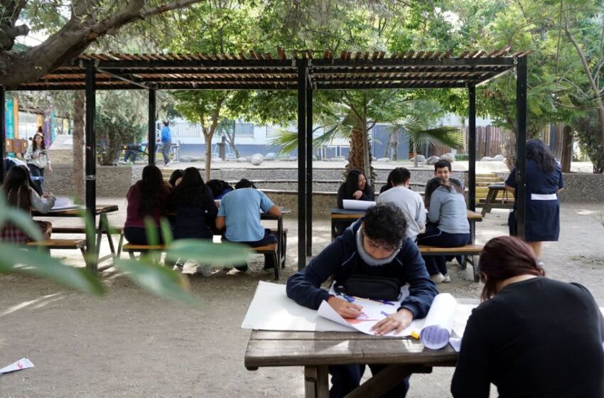  ONG busca transformar patios escolares en verdaderos refugios climáticos