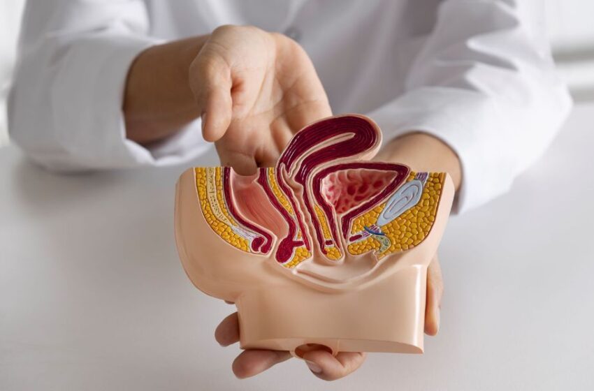 Vasectomía: 6 cosas que debe saber