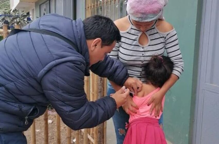 Minsa aplicó más de 30 000 dosis contra tos ferina y sarampión durante la semana de intensificación de vacunación