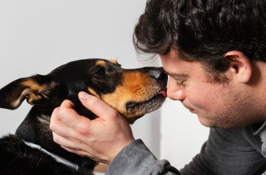 Día del padre: 5 tips para quienes desean ser “padres gatunos o perrunos” y adoptar una mascota