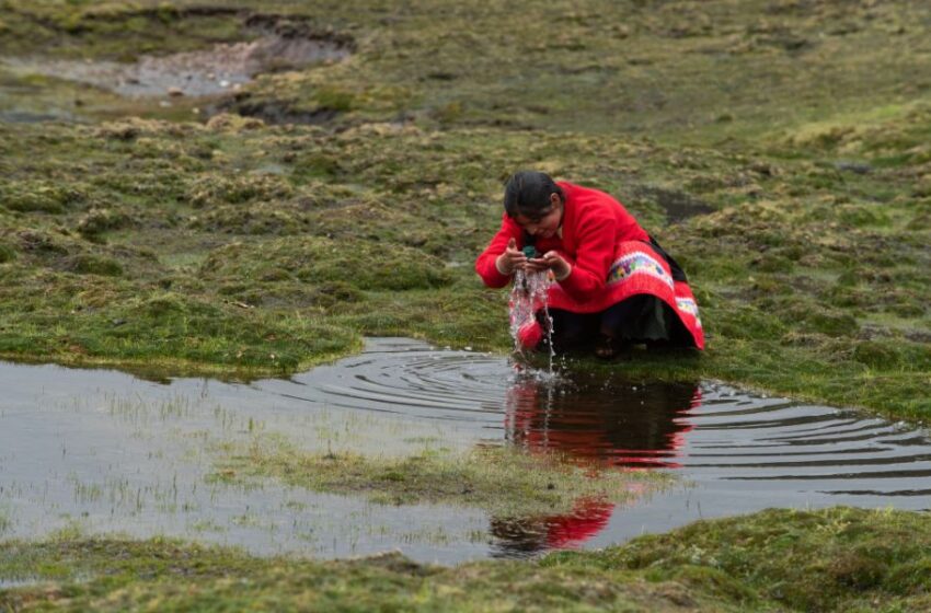 En el Día del Medio Ambiente, Perú da el ejemplo: Restauración sin plástico en los Andes
