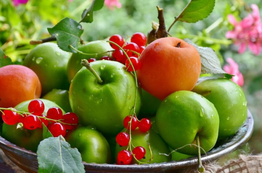  La mejor fruta para aumentar la masa muscular: rica en carbohidratos saludables y fácil de incorporar en tu dieta