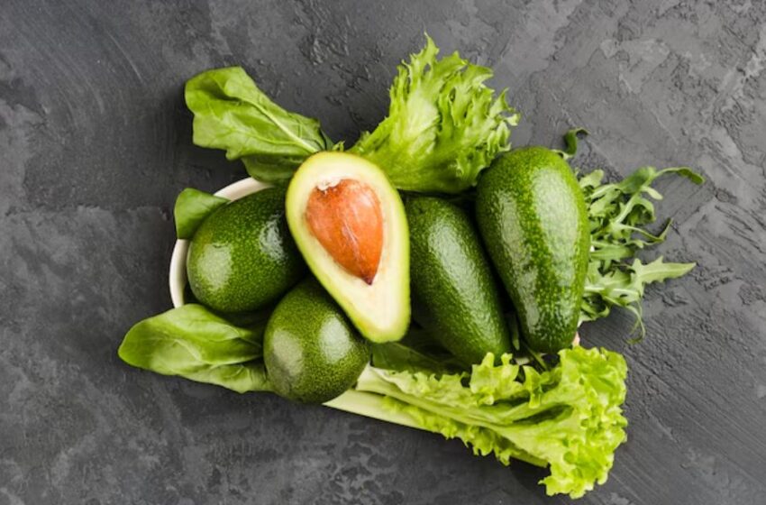  Palta y bienestar: el superalimento que transforma tu salud desde dentro